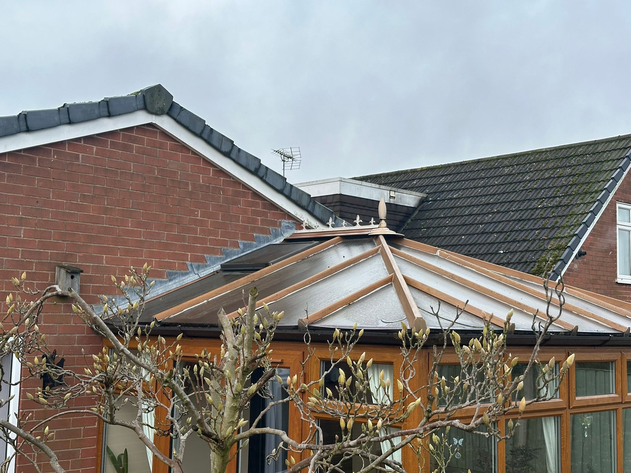 Edwardian Grey Before